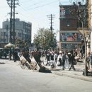 1960년~1970년대 서울 풍경(1) 이미지