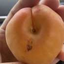 씨유 부산대점 | 다시 돌아온,,,