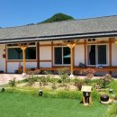 로젤 147 이미지