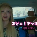 야호이