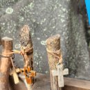 진안마원 이미지