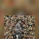 피씨카페비트 이미지