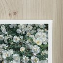 세리당구장 | 암튼 3월임