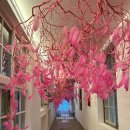 아미미술관 이미지