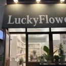 럭키플라워인천 | 인천 송도 24시 무인꽃집 ‘럭키플라워’ 헤어변형 꽃 구매후기 가성비꽃집