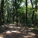 선암작은도서관 이미지