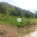 광시면010 이미지