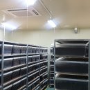 광은농장 이미지