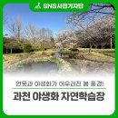 관악산 자연학습장 화장실 | 연못과 야생화가 어우러진 봄 풍경! 과천 야생화 자연학습장