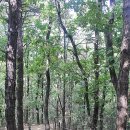 GM메디칼 이미지