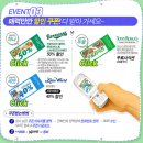 네이트 컬러풀 페스티벌 (토니로마스, 베니건스 쿠폰) 이미지
