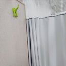 한누리한의원 | 왕십리역 한의원 허리 삐긋해서 진료받은 곳