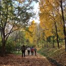 송정제방 이미지