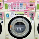 자이one세탁 | 대만여행 ⑪ 설산 주봉(雪山主峰) 백패킹 후 이란(宜蘭)에서 꿀맛같은 삼일의 휴식, 그리고 출근?