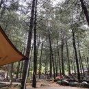 추동캠프 이미지