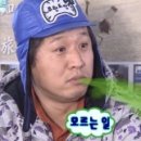 해목 서촌 이미지