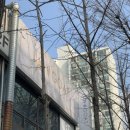 서당초등학교.삼환상가앞 이미지