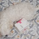 라온메딕스 이미지