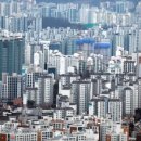 태영경영컨설팅 이미지