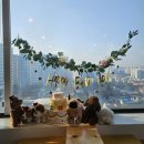 내사랑똥강아지 | 서울애견카페 똥강아지카페 내돈내산 크리스마스 포토존