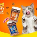 펫토이동물병원 이미지