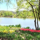 함께걷는부동산공인중개사사무소 이미지