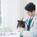 정겨운동물병원 이미지