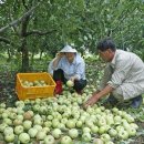 단구1리 이미지