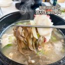 영자네식당 | 동해버스터미널 맛집 영자네능이백숙 문어보쌈