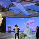 펫 갤러리아 | 빌라드지디 안양 갤러리아홀 본식 후기 ｜ 첫 예식, 식전촬영, 강아지 화견