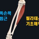 힐린필라테스