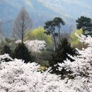 전주동초등학교 이미지