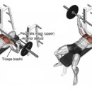 삼정오아시스 이미지
