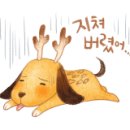 (주) 브레인워시 이미지