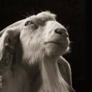 하프타임(HALFTIME) 이미지