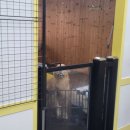 멍스데이 이미지