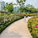 미사호수공원(미사1동행정복지센터인근) 이미지