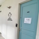 바나개 애견유치원 호텔 이미지