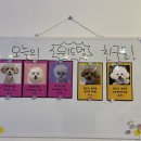 위드멍 애견유치원 이미지