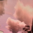 돌고래리조트 이미지