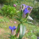 용담초교 이미지