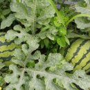 미루모텔 이미지