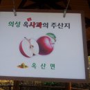 경북 의성 복순가 사과 농원 /옥사과 판매 이미지