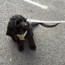 시루내민박 이미지