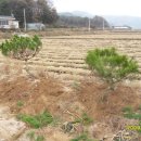 (주)황금농장 이미지