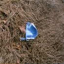 효선농장 이미지