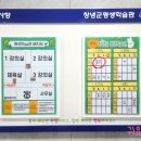 페이퍼플라워 토탈공예 네이버블로그