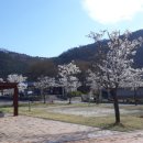 영월 동강오토캠핑장 이미지