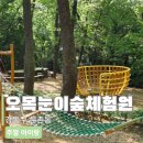마리(MARI)호텔 | 강동구 아이랑 주말 일자산 오목눈이 유아숲체험원 후기