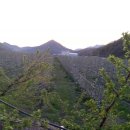 홍주농장 이미지